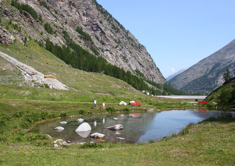 Bergrestaurant Alpina - Sommer